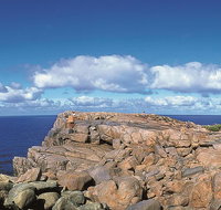 4 Day Tour Albany Margaret River Valley of the Giants TreeTop Walk from Perth - Local Tourism