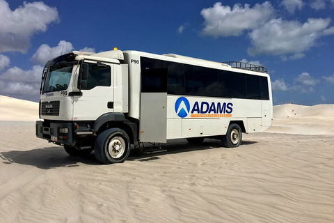 Pinnacles Desert, Koalas And Sandboarding 4WD Day Tour From Perth - Local Tourism 2