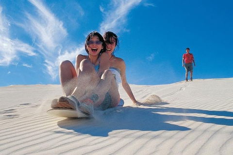 Pinnacles Desert, Koalas And Sandboarding 4WD Day Tour From Perth - Local Tourism 3