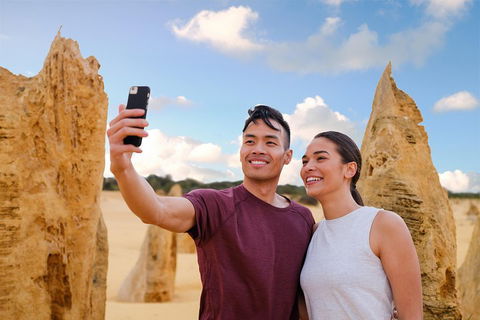 Pinnacles Desert, Koalas And Sandboarding 4WD Day Tour From Perth - Local Tourism 4