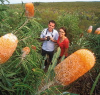 Best of Perth Wildflower Season Day Trip - Local Tourism
