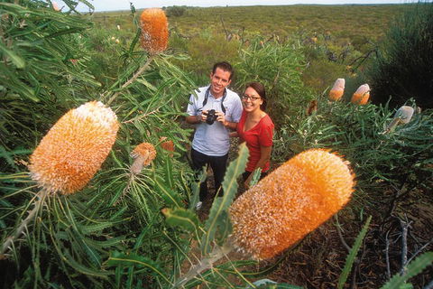 Best Of Perth Wildflower Season Day Trip - Accommodation Australia 0