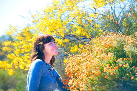 Best Of Perth Wildflower Season Day Trip - Accommodation Australia 2