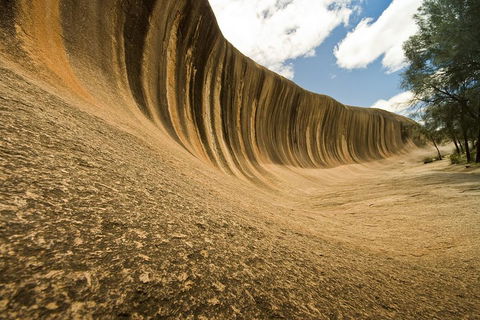 Wave Rock, York, Wildflowers, And Aboriginal Cultural Day Tour From Perth - Accommodation Australia 0