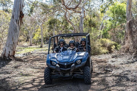 Small-Group Buggy Tour At Little Sahara With Guide - Local Tourism 0