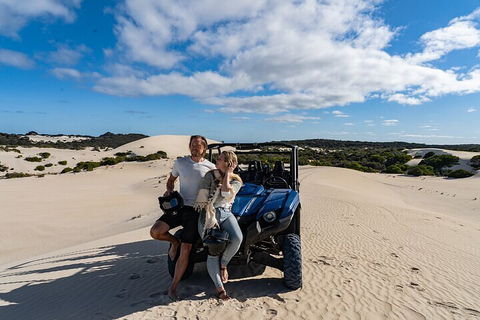 Small-Group Buggy Tour At Little Sahara With Guide - Local Tourism 2