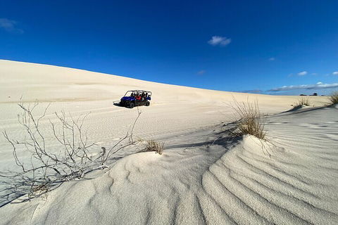 Small-Group Buggy Tour At Little Sahara With Guide - Local Tourism 3