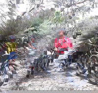 2 Hour Bike Tour in Kangaroo Island - Local Tourism