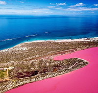 Pink Lake Small-Group Buggy Tour - Local Tourism