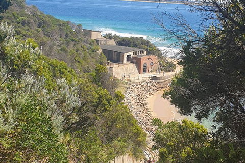 Fort Nepean And Quarantine Station Tour - Accommodation Australia 4