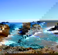 Great Ocean Road Small-Group Ecotour from Melbourne - Local Tourism