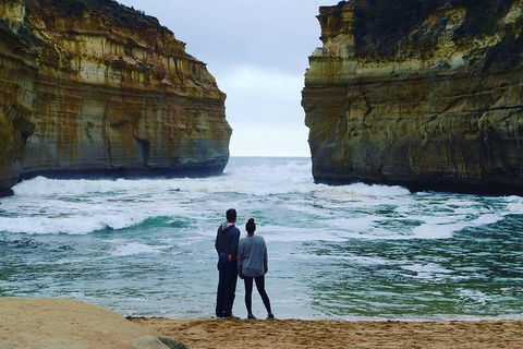 Great Ocean Road Small-Group Ecotour From Melbourne - Accommodation Australia 1