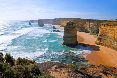 Great Ocean Road Small-Group Ecotour From Melbourne - Accommodation Australia 2