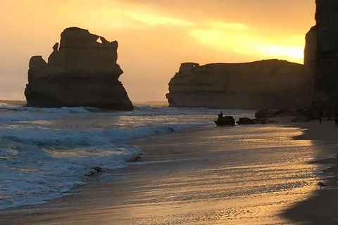 Great Ocean Road Small-Group Ecotour From Melbourne - Accommodation Australia 5