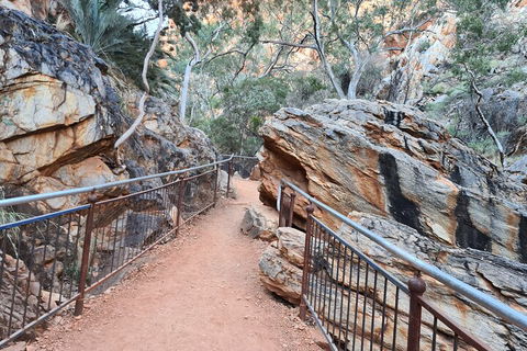 West MacDonnell Ranges Half - Day Tour - Accommodation Australia 0