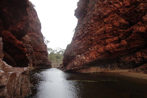West MacDonnell Ranges Half - Day Tour - Accommodation Australia 4