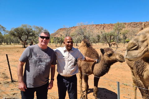 West MacDonnell Ranges Half-Day Small-Group Tour With Camel Ride - Local Tourism 1