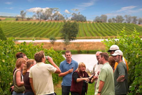 Yarra Valley Wine And Winery Tour From Melbourne - Local Tourism 0