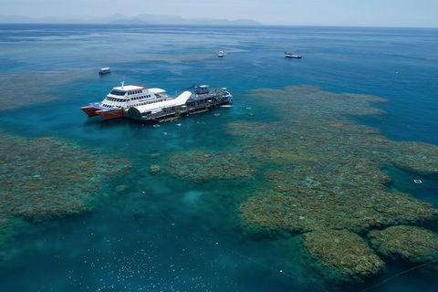 Cruise To Moore Reef Pontoon And Return Helicopter Flight From Cairns - Local Tourism 0