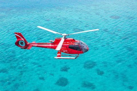 Cruise To Moore Reef Pontoon And Return Helicopter Flight From Cairns - Local Tourism 1