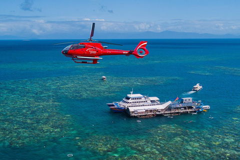 Cruise To Moore Reef Pontoon And Return Helicopter Flight From Cairns - Local Tourism 4