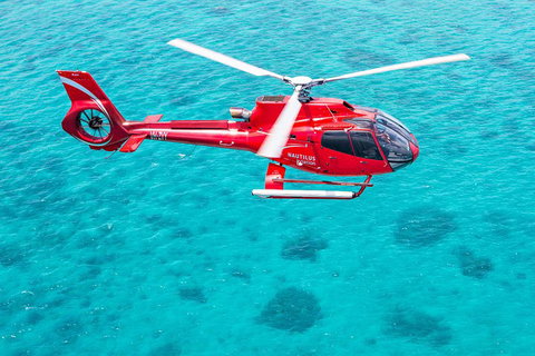 Helicopter And Cruise Packages From Port Douglas - Bed n Breakfasts 5