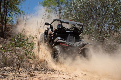 License To Thrill: 1.5 Hour Off-road Tour In Darwin (1 Person: 2 Seater Vehicle) - Accommodation Australia 3