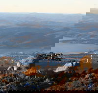 Mt. Wellington Bonorong and Richmond Day Tour from Hobart - Accommodation Australia