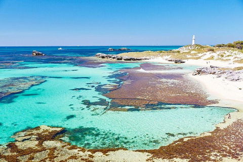 Rottnest Island All-Inclusive Grand Island Tour From Fremantle - Accommodation Australia 1