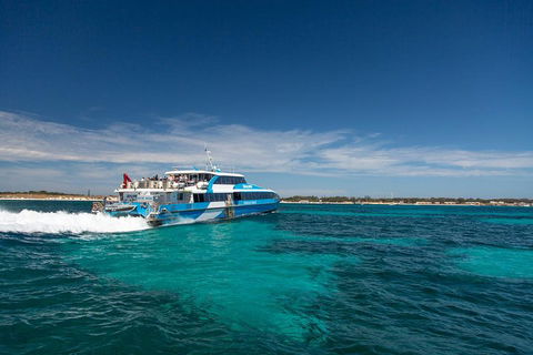 Rottnest Island Bike & Ferry Package From Fremantle - Accommodation Australia 4