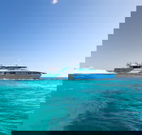 Rottnest Island Bike Snorkel  Ferry Package from Fremantle - Local Tourism