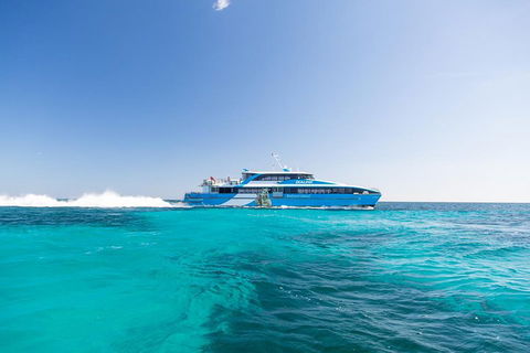 Rottnest Island Bike, Snorkel & Ferry Package From Fremantle - Accommodation Australia 0