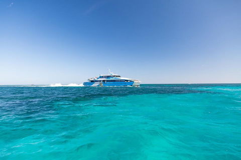Rottnest Island Fortress Adventure Segway Package From Fremantle - Accommodation Australia 0