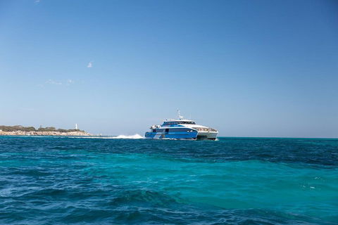 Rottnest Island Bike & Ferry Package From Perth - Accommodation Australia 2