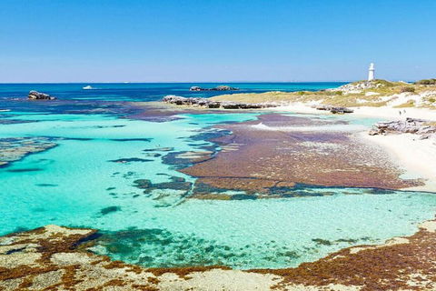 Rottnest Island Bayseeker Day Trip From Perth - Accommodation Australia 4