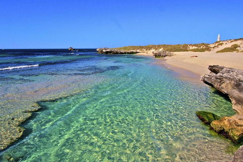 Rottnest Island Bayseeker Day Trip From Perth - Accommodation Australia 5