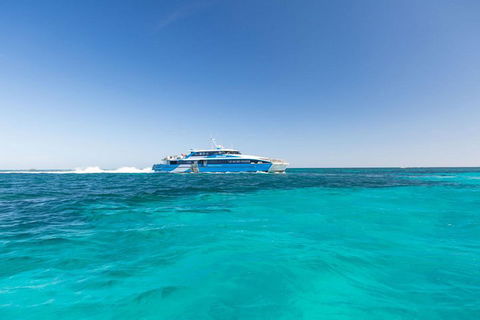 Rottnest Island Settlement Explorer Segway Package From Perth - Accommodation Australia 1