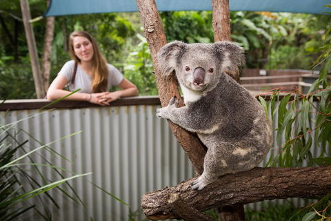 Hartley's Crocodile Adventures Day Trip From Palm Cove - Local Tourism 5