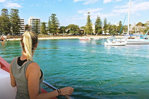 Sydney Harbour Hop-on Hop-off Cruise - Local Tourism 5
