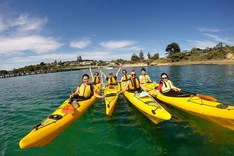 Mornington Peninsula Kayak Coastline Tour Of Dolphin Sanctuary - Australia Shopping 2