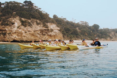 Mornington Peninsula Kayak Coastline Tour Of Dolphin Sanctuary - Australia Shopping 4