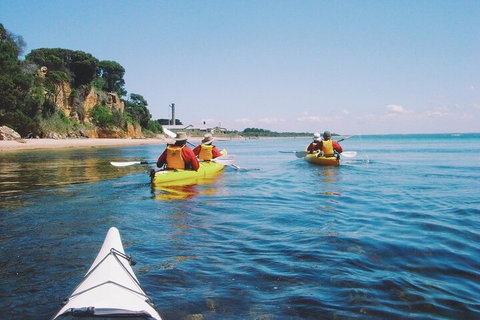 Mornington Peninsula Kayak Coastline Tour Of Dolphin Sanctuary - Australia Shopping 5