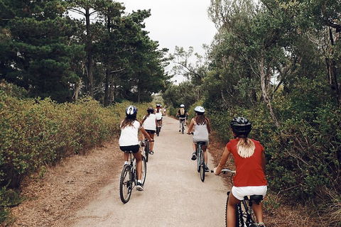 Self-Guided Point Nepean National Park Bike Hire - Australia Shopping 3