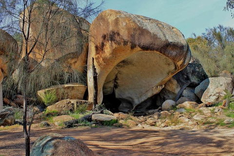 Wave Rock & Rottnest Island - Air & Ground Tour - Accommodation Australia 4