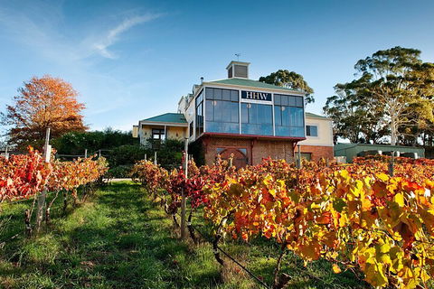 Adelaide Hills Food, Wine, Cheese, & Chocolate - Private Day Tour - Local Tourism 3