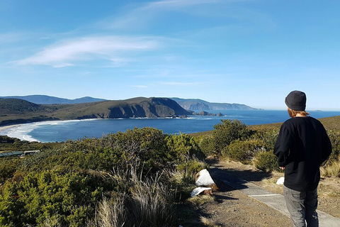 4-Day Fabulous Tasmania Tour: Wineglass Bay, Port Arthur, Devils & Bruny Island - Local Tourism 0