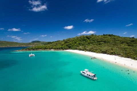 Whitehaven Beach And Hill Inlet | Awesome Beach BBQ | Family Friendly - Accommodation Australia 3