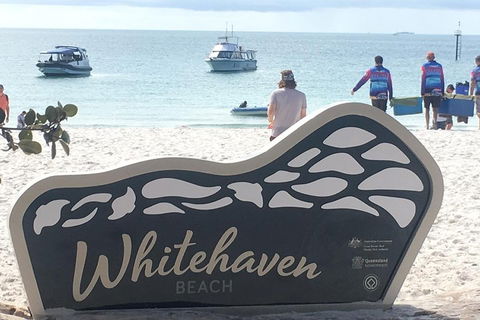 Whitehaven Beach And Hill Inlet | Awesome Beach BBQ | Family Friendly - Accommodation Australia 5