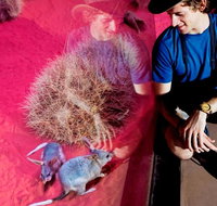 Alice Springs Desert Park General Entry Ticket - Accommodation Australia