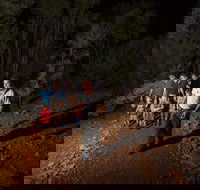 Alice Springs Desert Park Nocturnal Tour - Local Tourism